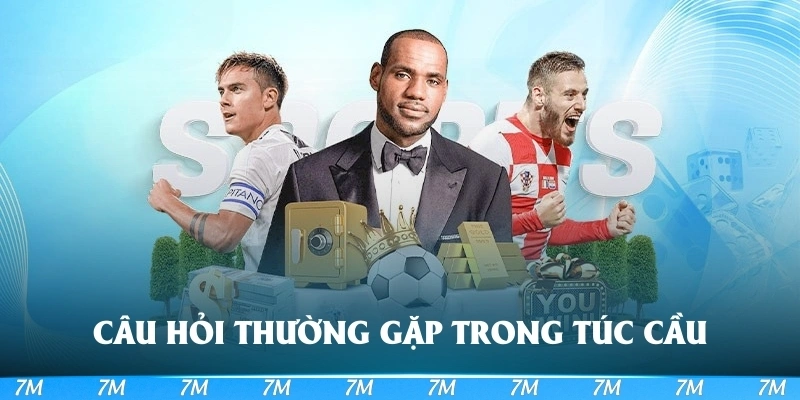 Khám phá các câu hỏi thường gặp trong túc cầu